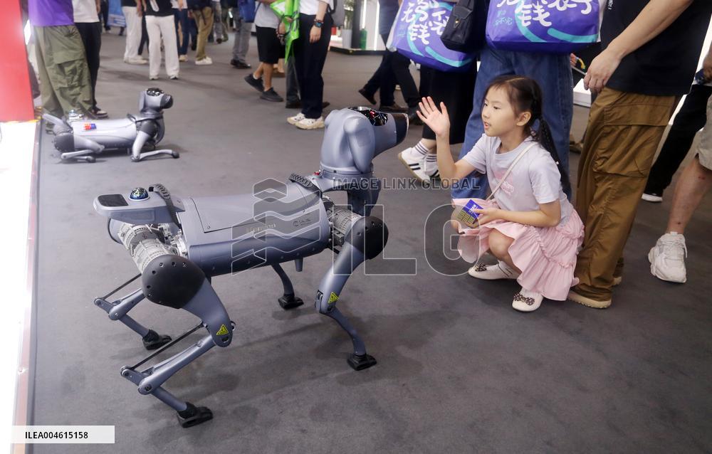 Robot Performance at 2025 WAIC in Shanghai