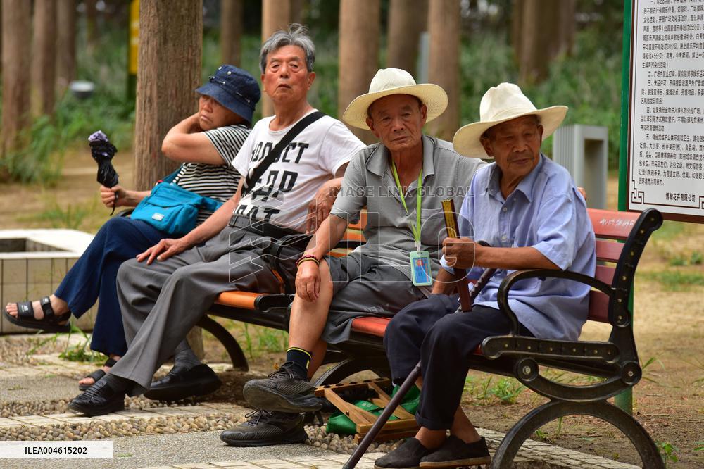 Chinese Elderly Society
