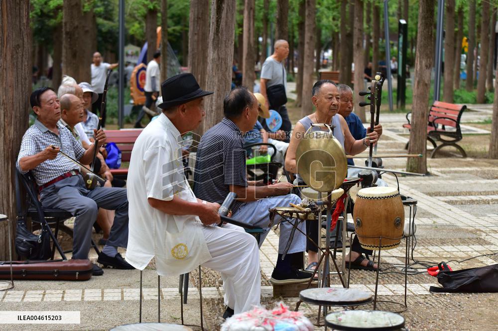 Chinese Elderly Society