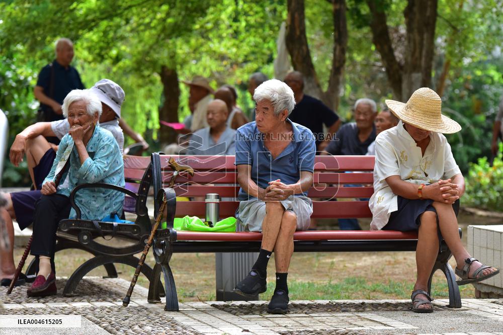 Chinese Elderly Society