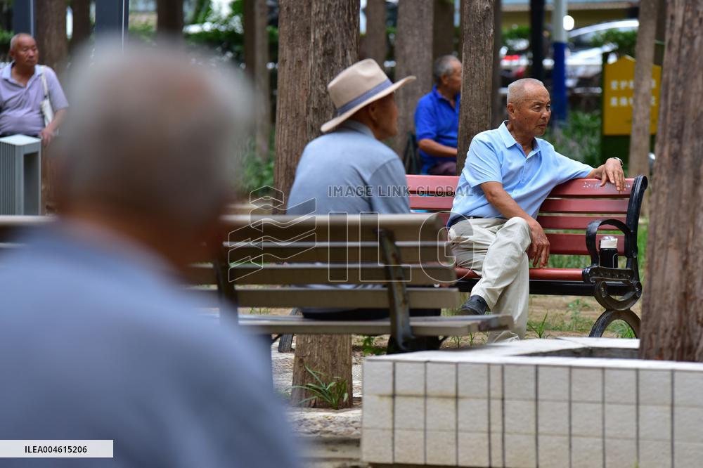 Chinese Elderly Society