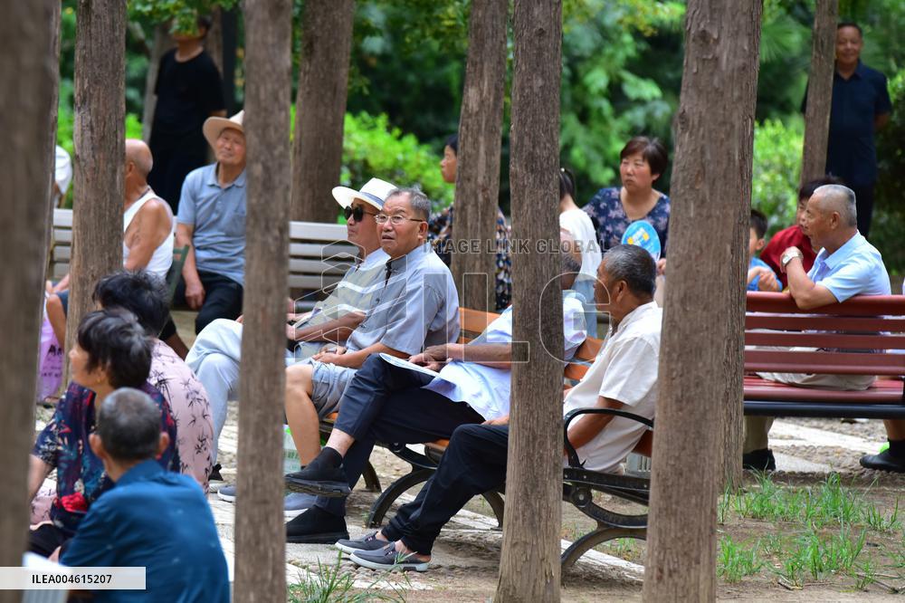 Chinese Elderly Society