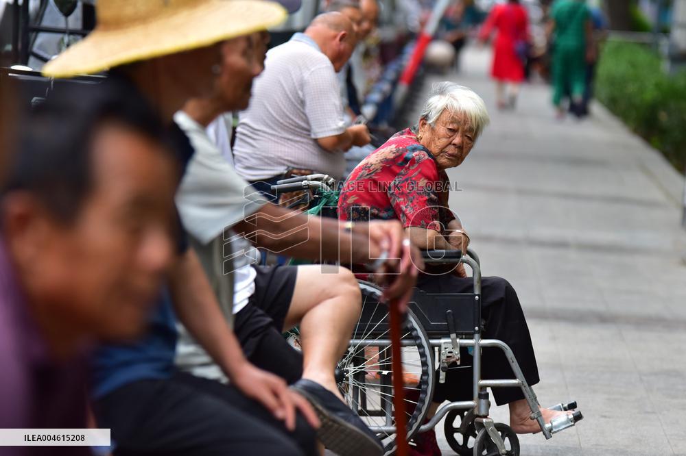 Chinese Elderly Society