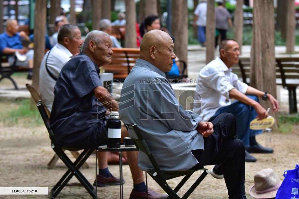 Chinese Elderly Society