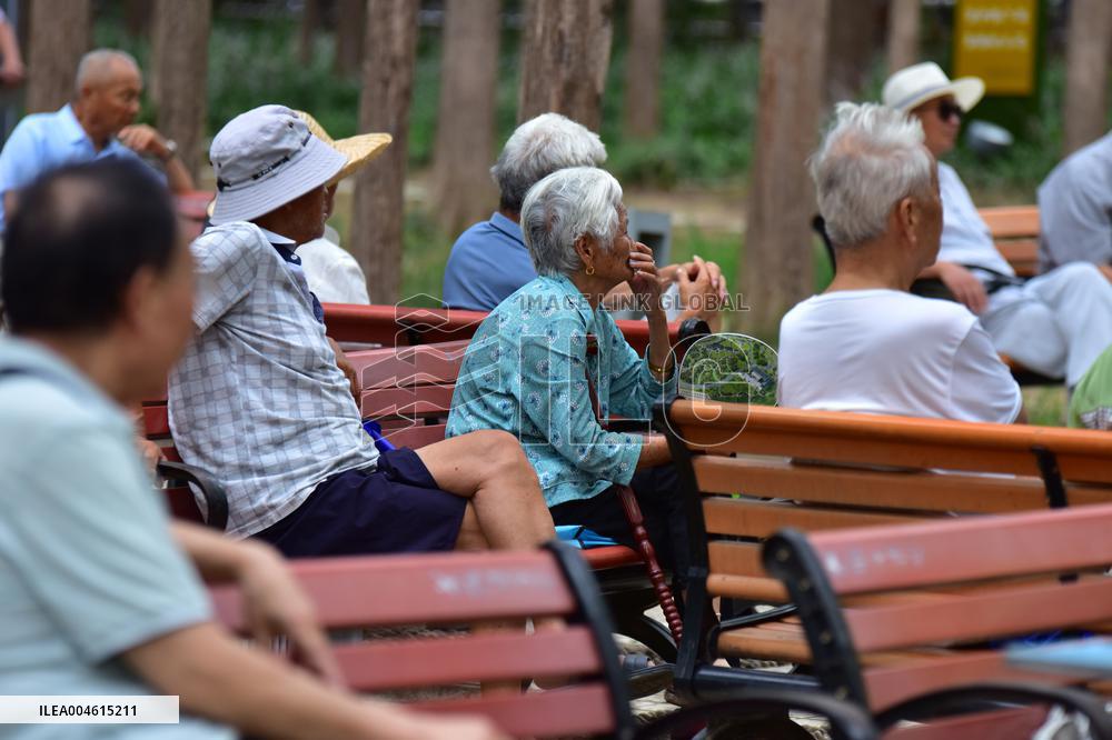 Chinese Elderly Society
