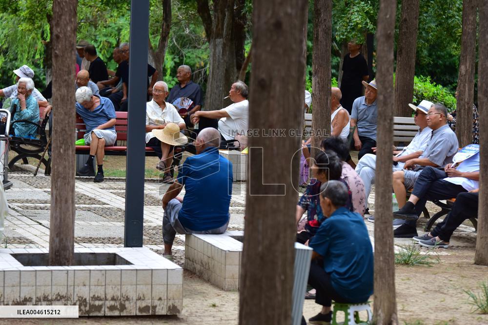 Chinese Elderly Society