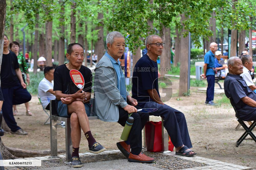 Chinese Elderly Society