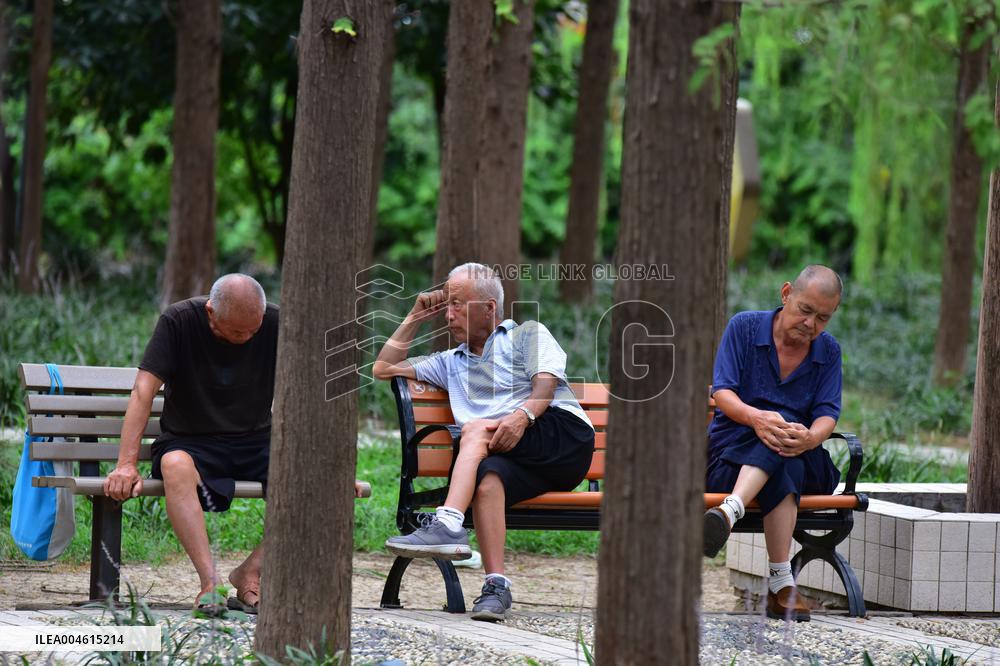 Chinese Elderly Society
