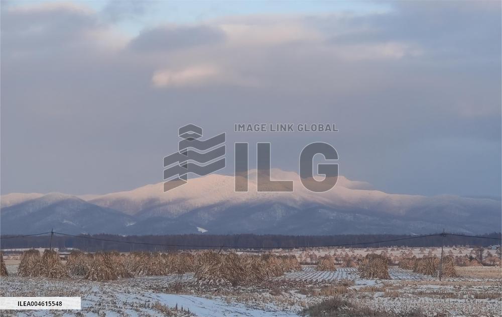 World Aquatics Championships - Day 21 - Singapore