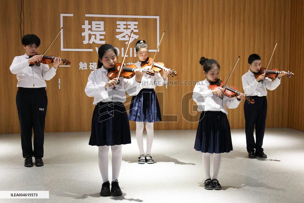 Violin Family Manufacturing - China