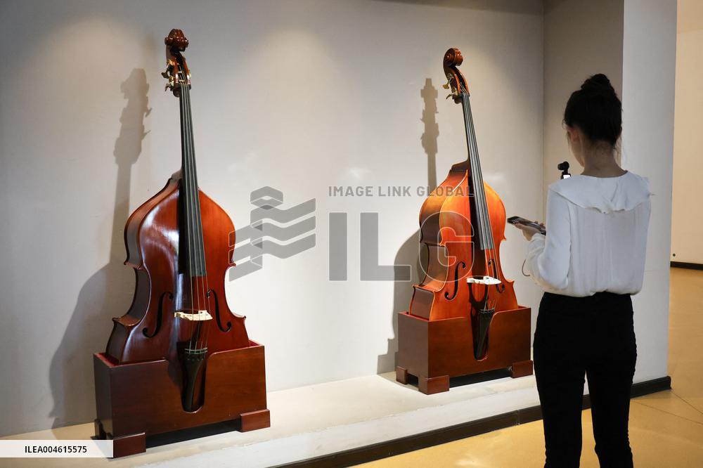 Violin Family Manufacturing - China