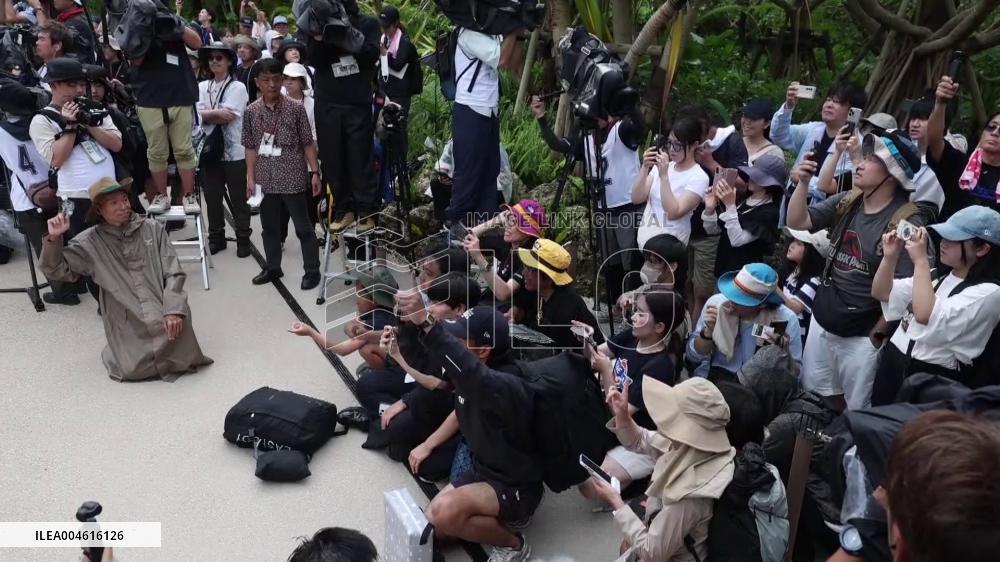 Junglia Okinawa theme park opens