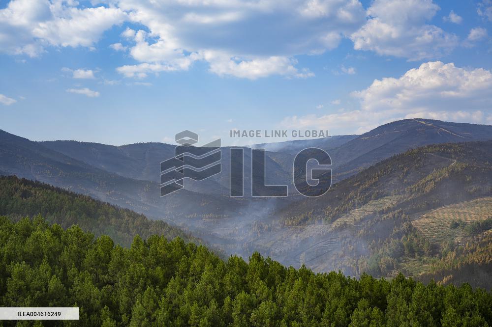 Troops Work to Control Fire Near Avellanar Caceres - Spain