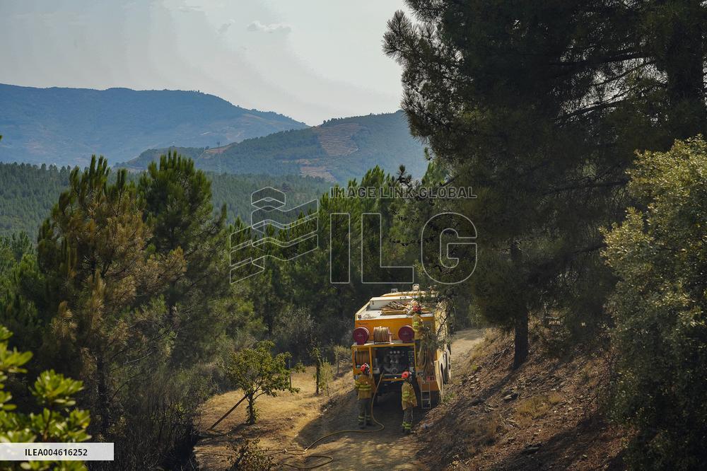 Troops Work to Control Fire Near Avellanar Caceres - Spain