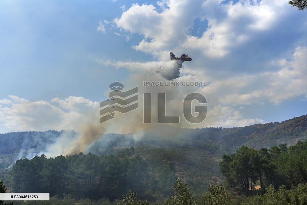 Troops Work to Control Fire Near Avellanar Caceres - Spain