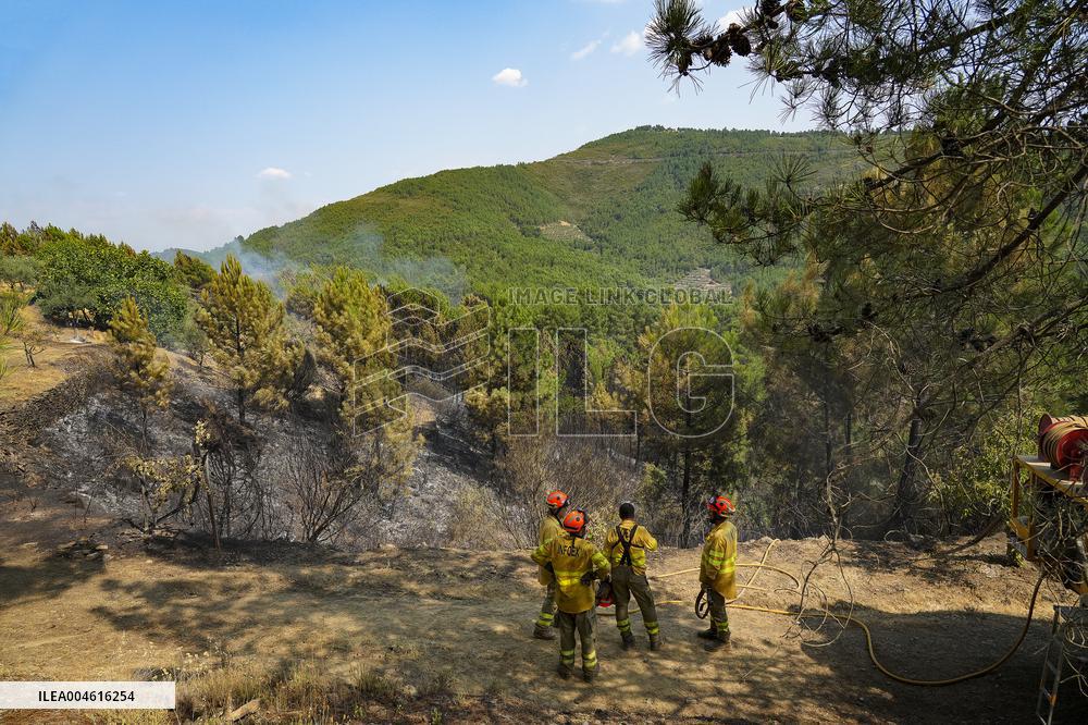 Troops Work to Control Fire Near Avellanar Caceres - Spain