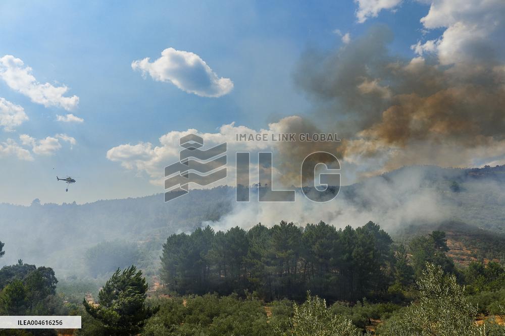 Troops Work to Control Fire Near Avellanar Caceres - Spain