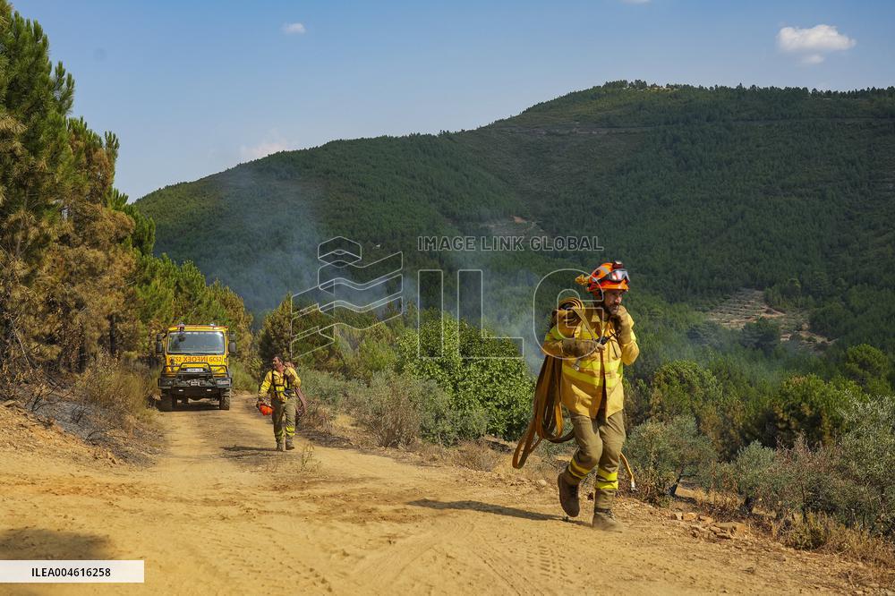 Troops Work to Control Fire Near Avellanar Caceres - Spain