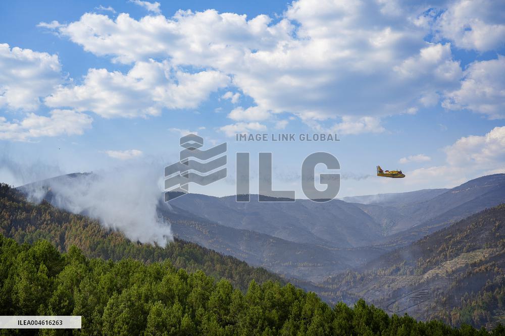 Troops Work to Control Fire Near Avellanar Caceres - Spain