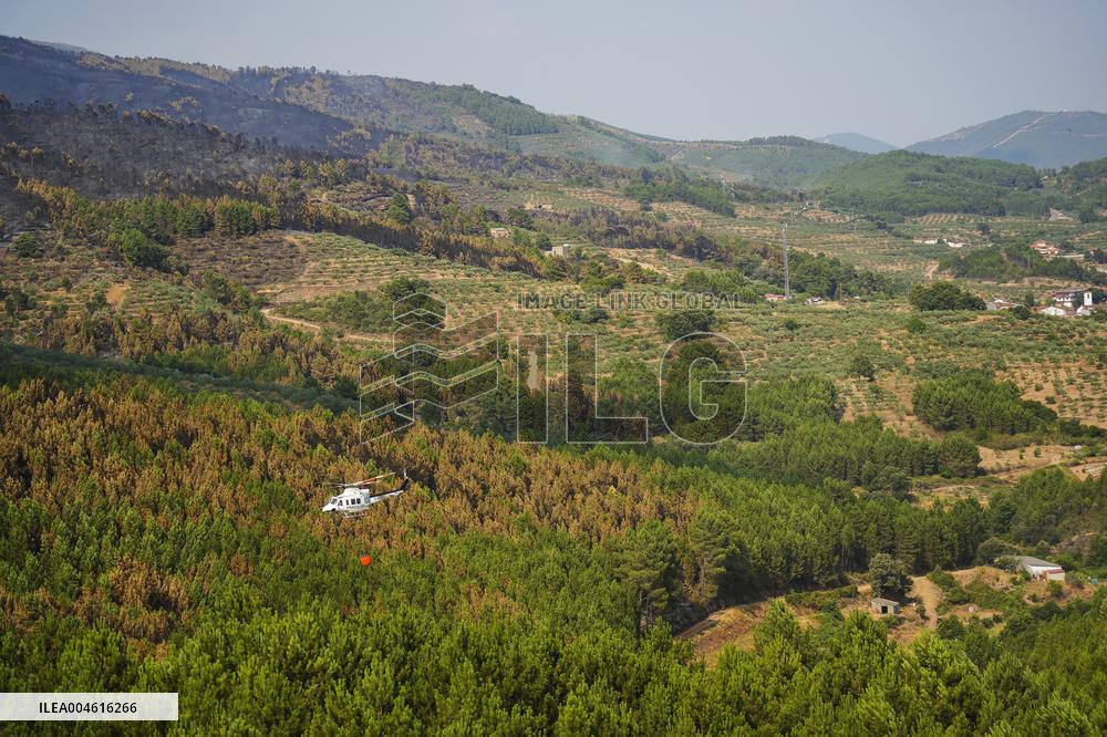 Troops Work to Control Fire Near Avellanar Caceres - Spain