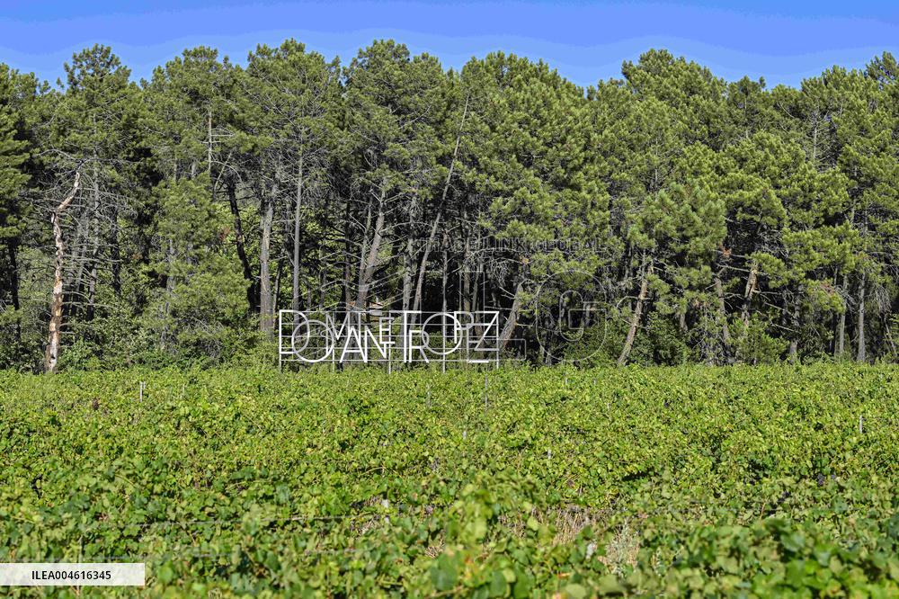 Saint Tropez Illustrations - France