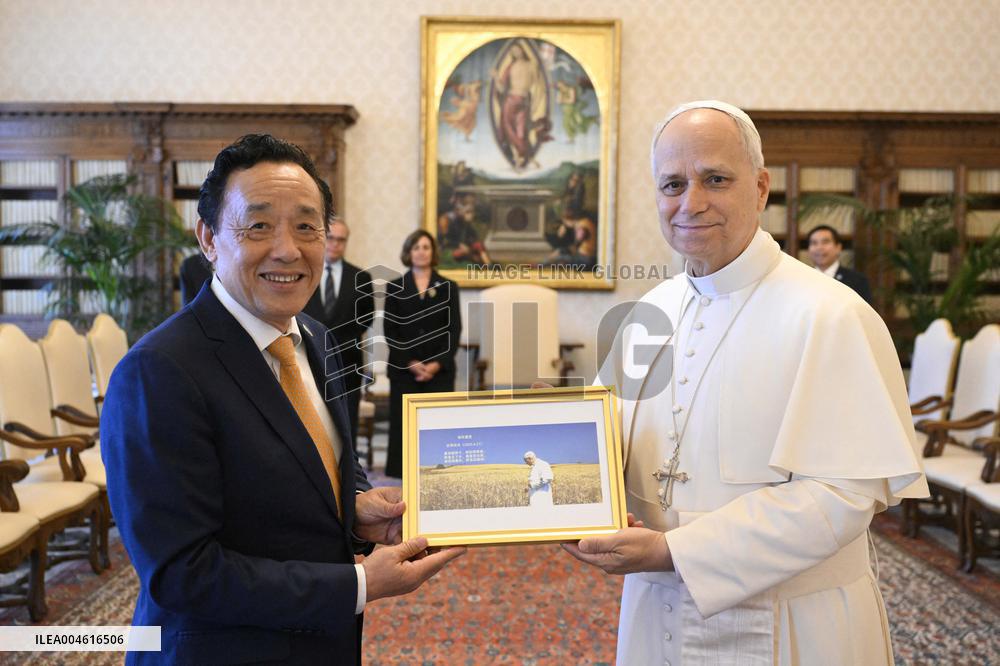 Pope Leo XIV Private Audience - Vatican