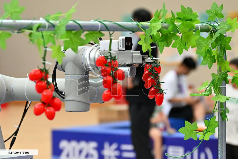 2025 Yangtze River Delta (Kunshan) Embodied Intelligent Scene Application Competition