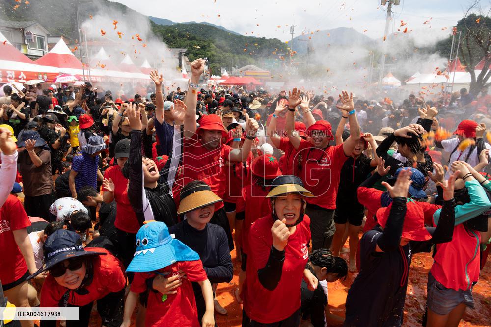 Hwacheon Tomato Festival - South Korea