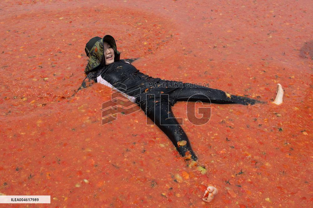 Hwacheon Tomato Festival - South Korea