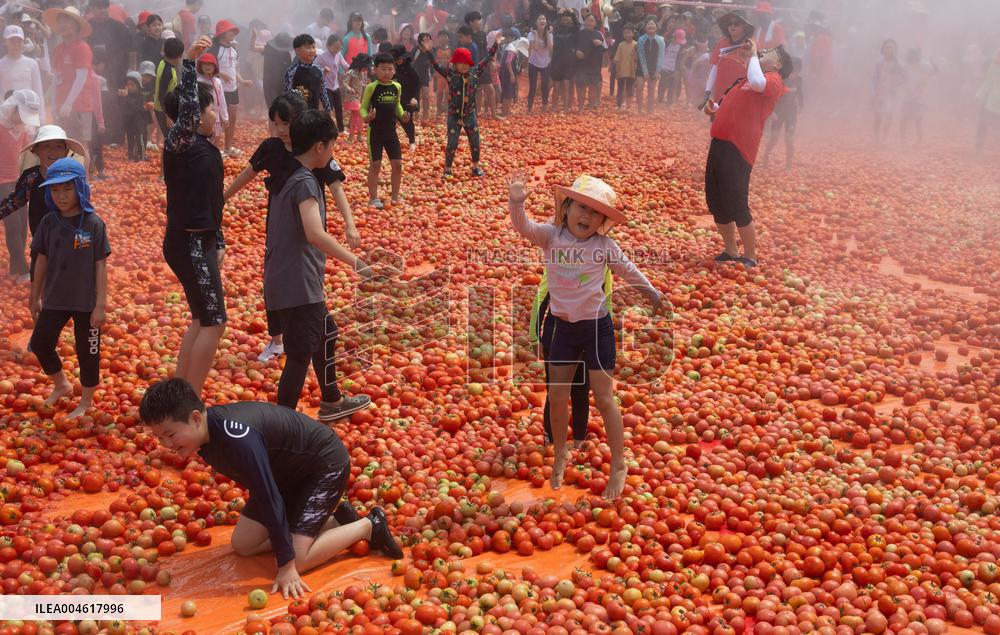 Hwacheon Tomato Festival - South Korea