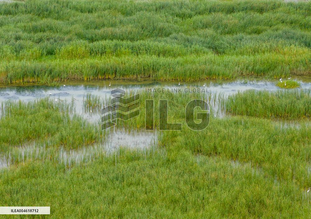 Chengzi Lake Ecological Island Experimental Zone