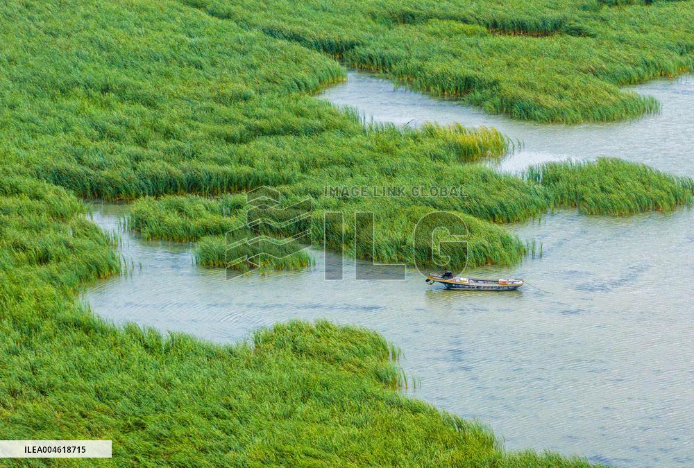 Chengzi Lake Ecological Island Experimental Zone