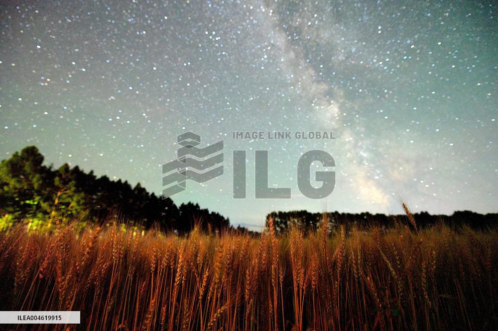 Agriculture Crops Starry Sky - China