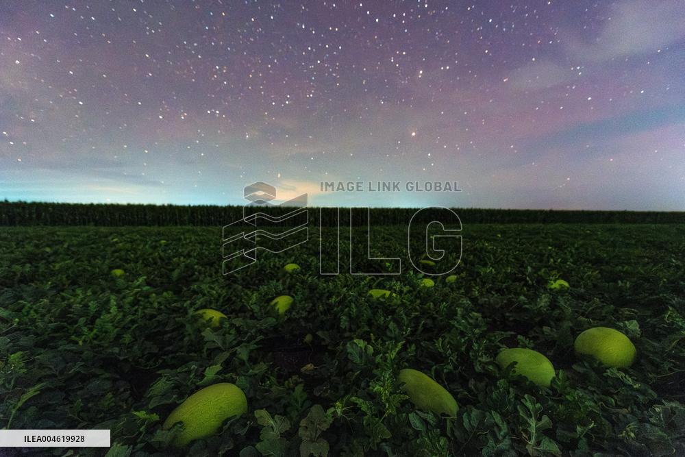 Agriculture Crops Starry Sky - China