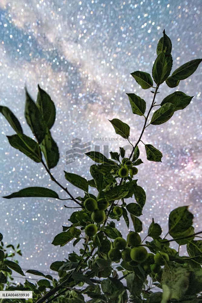 Agriculture Crops Starry Sky - China