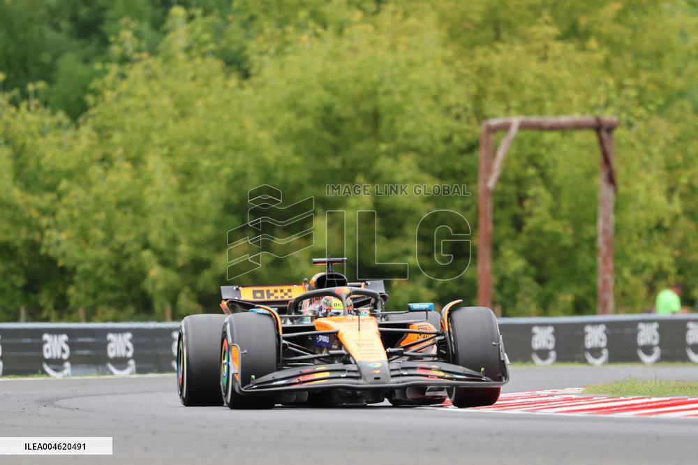F1 Hungarian Grand Prix - Race Day - Budapest
