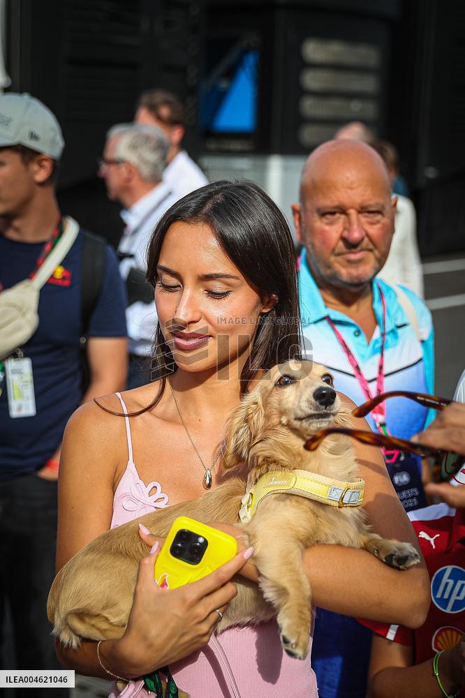 MOTORI - Formula 1 - Lenovo Hungarian Grand Prix 2025