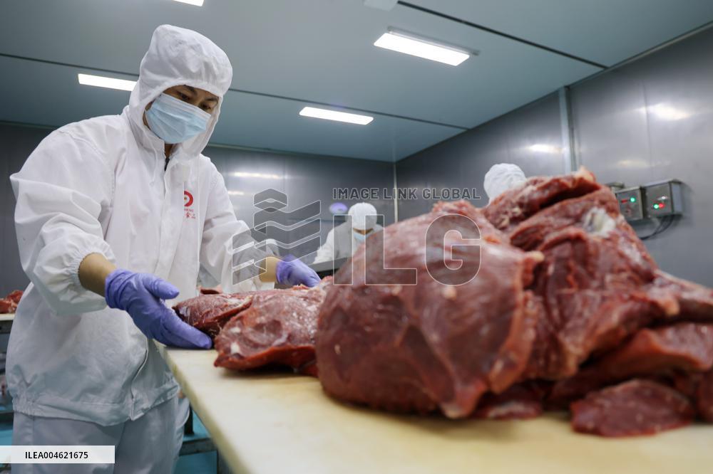 Beef Processing in Binzhou