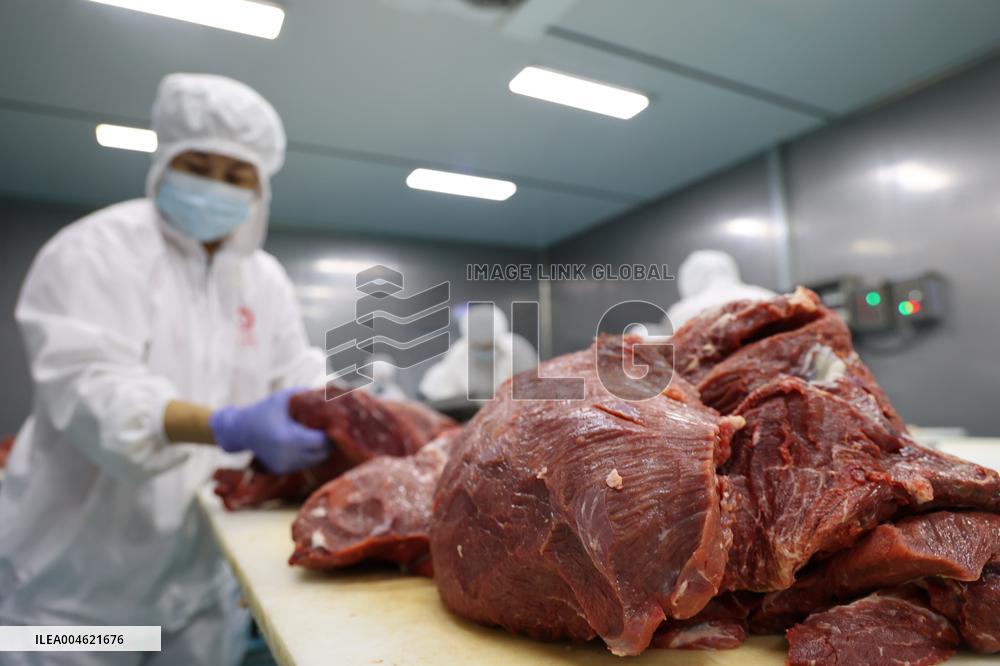 Beef Processing in Binzhou