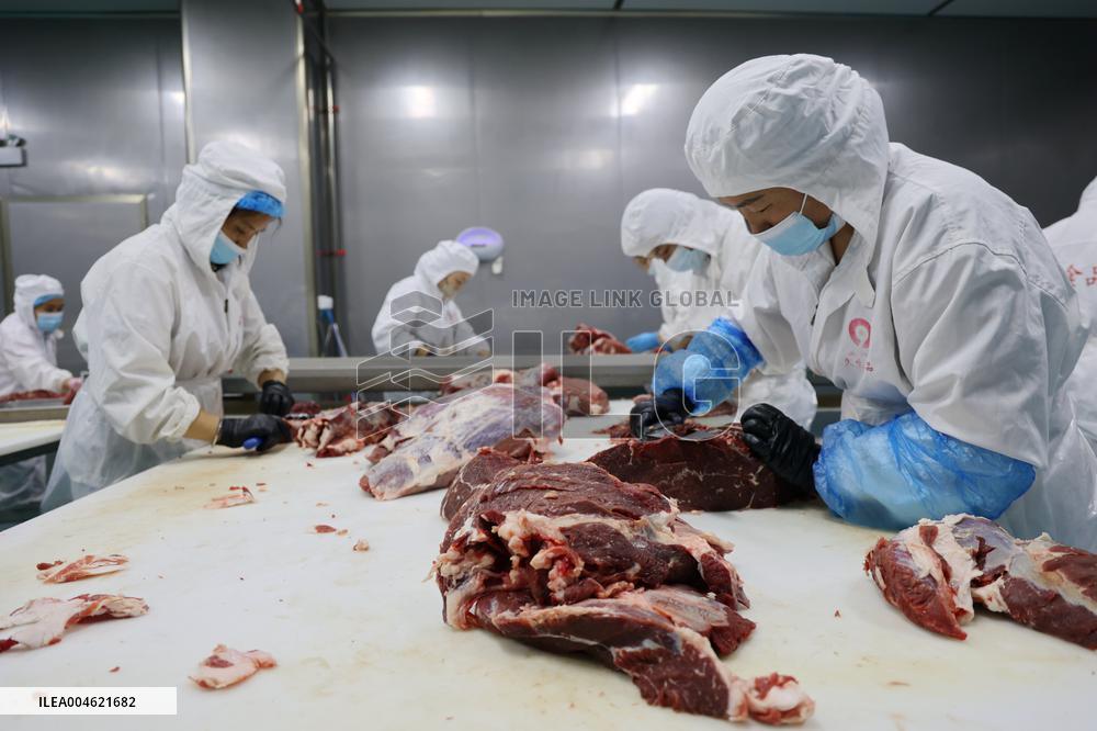 Beef Processing in Binzhou