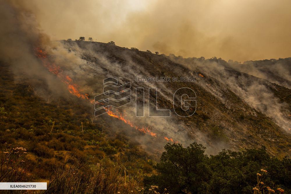 Wildfire Rages Through Los Padres Forest - USA