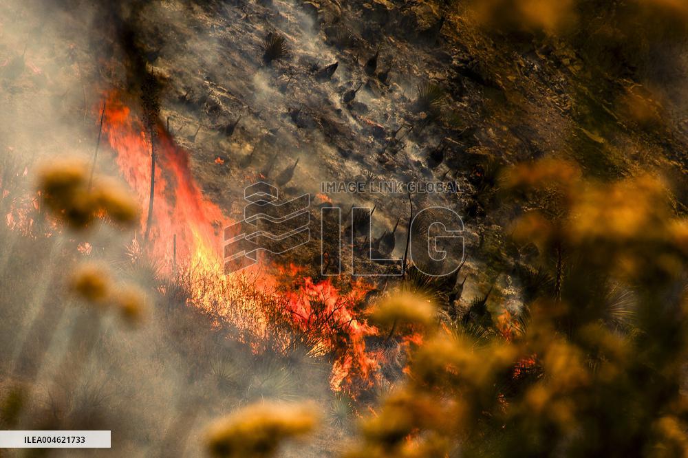 Wildfire Rages Through Los Padres Forest - USA