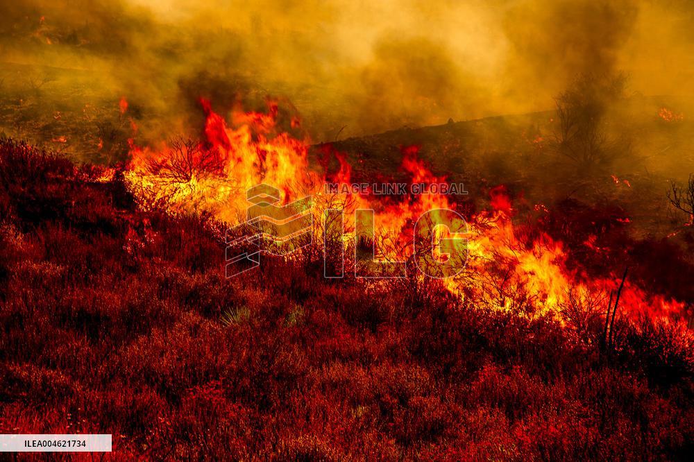Wildfire Rages Through Los Padres Forest - USA
