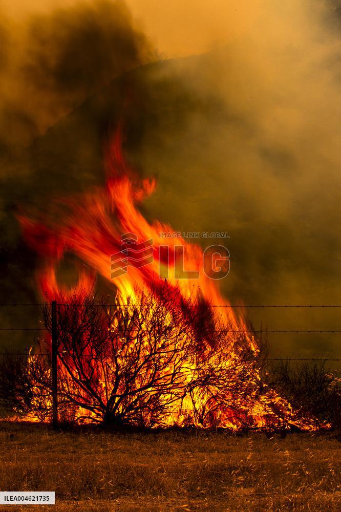 Wildfire Rages Through Los Padres Forest - USA