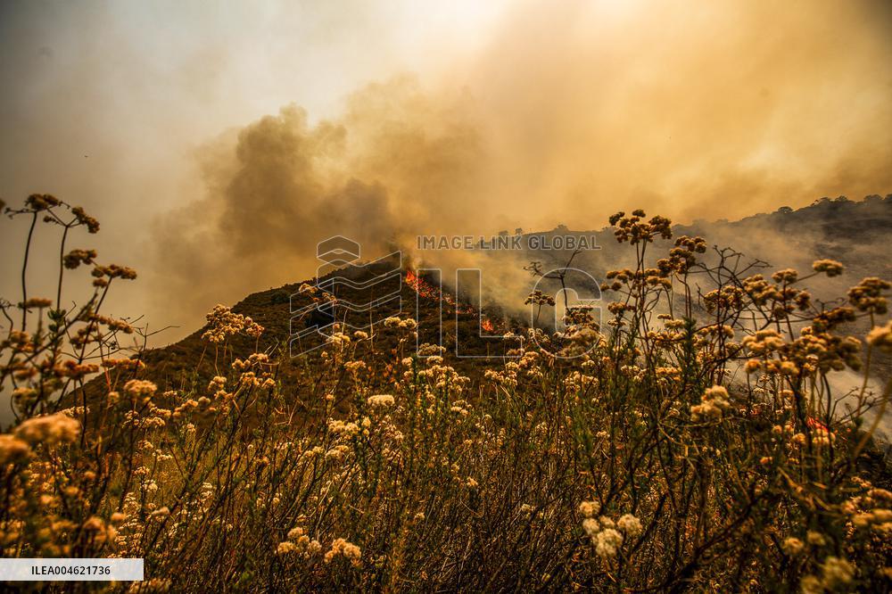Wildfire Rages Through Los Padres Forest - USA
