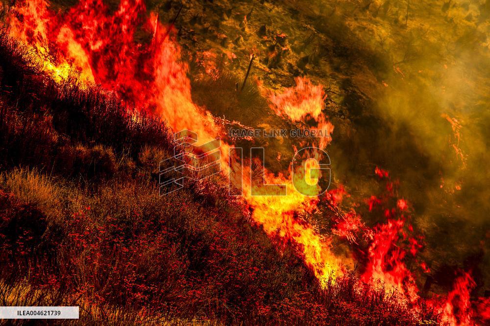 Wildfire Rages Through Los Padres Forest - USA