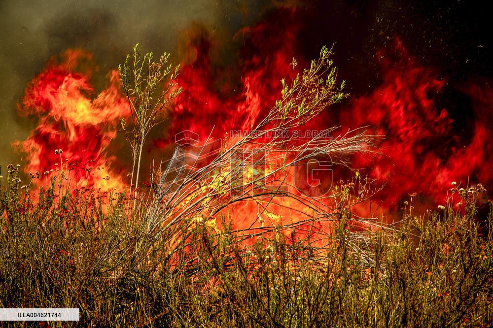 Wildfire Rages Through Los Padres Forest - USA