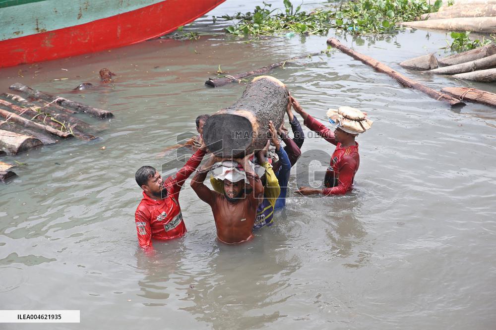 Cutting and Transportation of Wood - Bangladesh