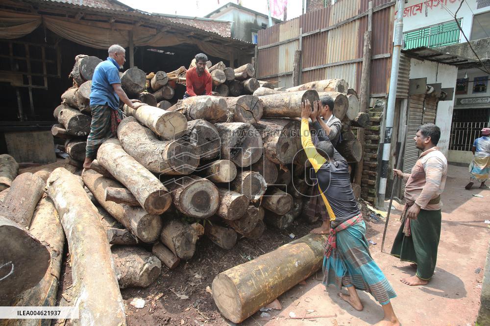 Cutting and Transportation of Wood - Bangladesh
