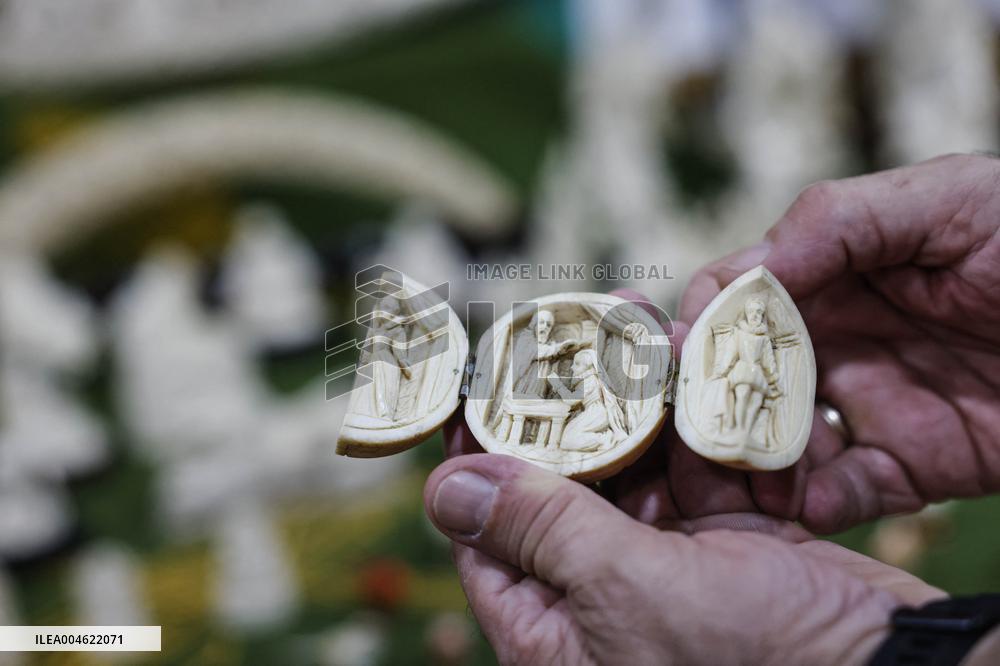 Civil Guard Highlights Major Ivory Seizure in Spain